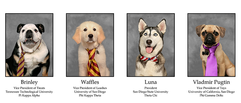 Sorority and Fraternity Composite Pets